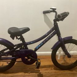 16” Jamis Miss Daisy