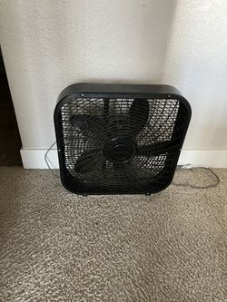 Fan
