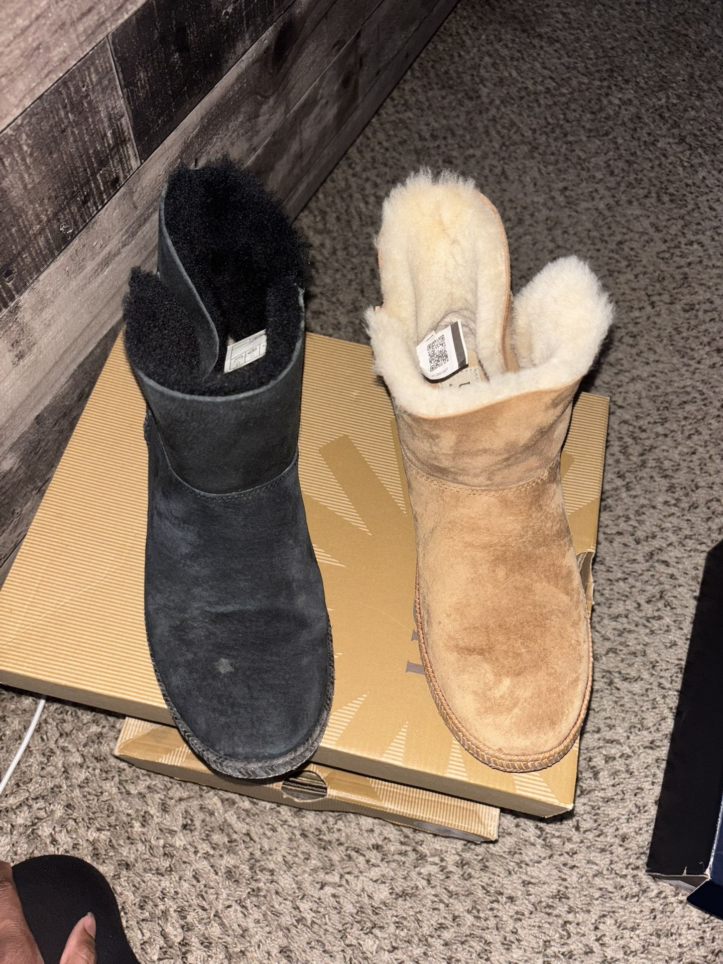 black & tan uggs