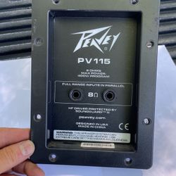 Peavey  Box Terminal 
