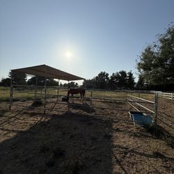 Horse Corral 
