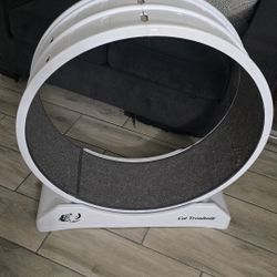 Cat Wheel 