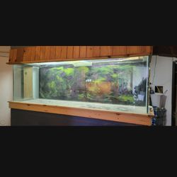 160 Gallon Fish Tank 