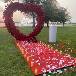 Professional proposal setup