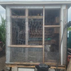 Casita De Criar Pericos
