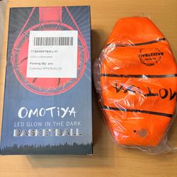 LED Basketballs