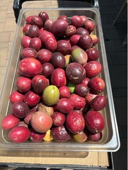 Organic Passion Fruit
