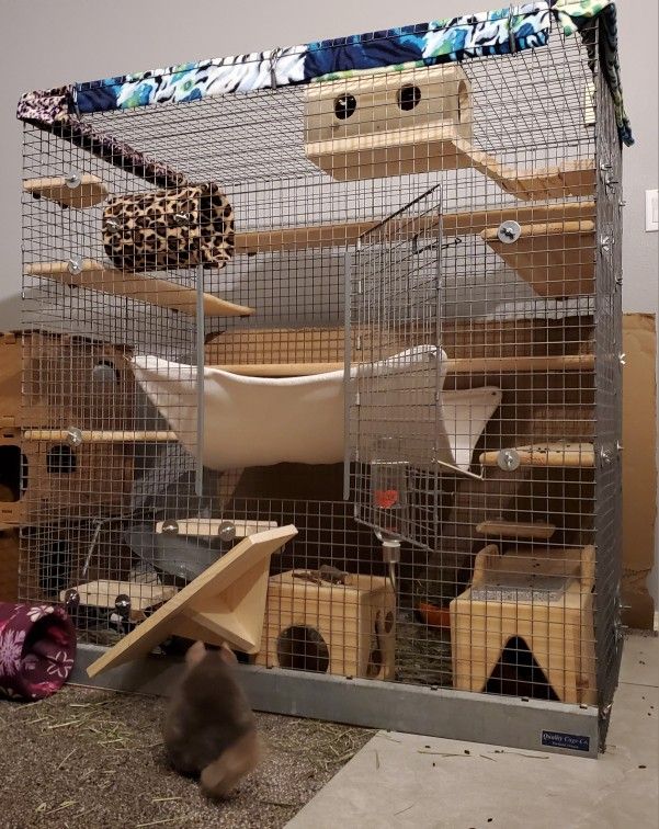 Original Quality Cage Special Order XL Chinchilla Mansion