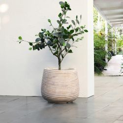 17" Dia Distressed Tan Plant Pot Handmade MgO Tapered Round Large Indoor Outdoor Planter,PL1747