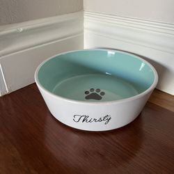 Pets food bowl 