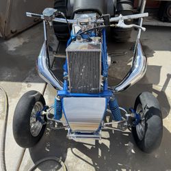 421 Cheetah Cub 2001