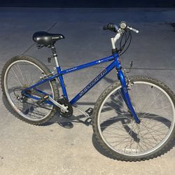 21 Speed Schwinn Bike