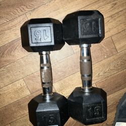 15Lb Weights 