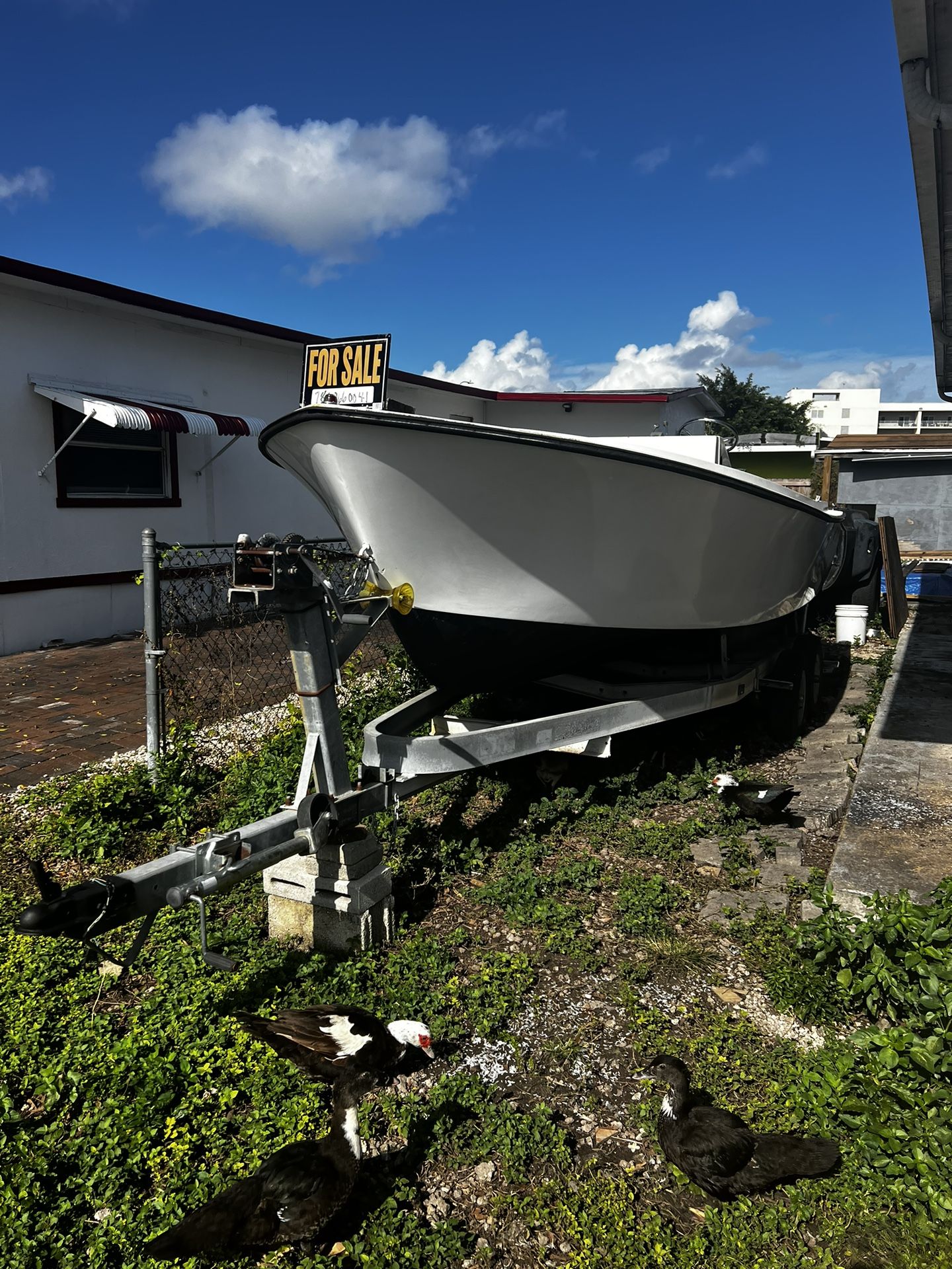 1977 Shamrock Shamrock