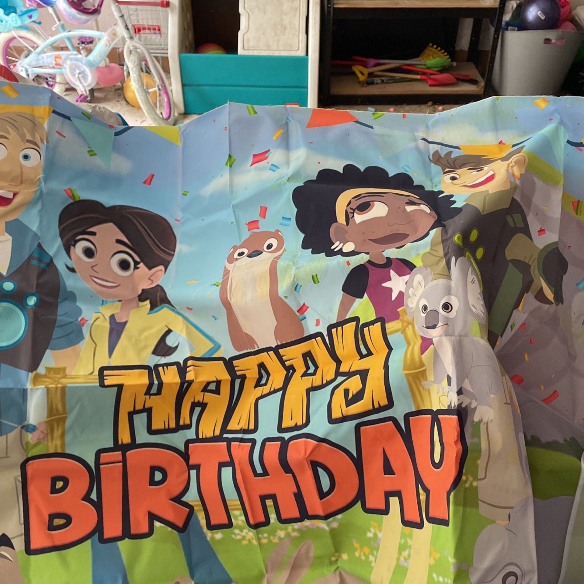 Wild kratts Birthday Decorations 