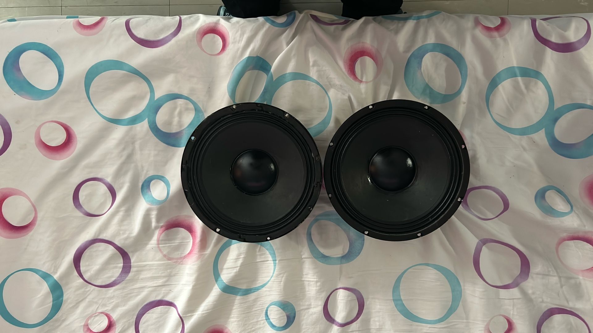 10in Skar Speaker x2 (Used)