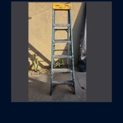6ft Ladder Usec