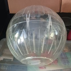 Hamster Ball