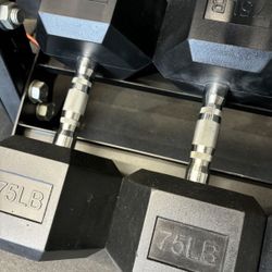 Hex Rubber Dumbbell Pair 75 lb