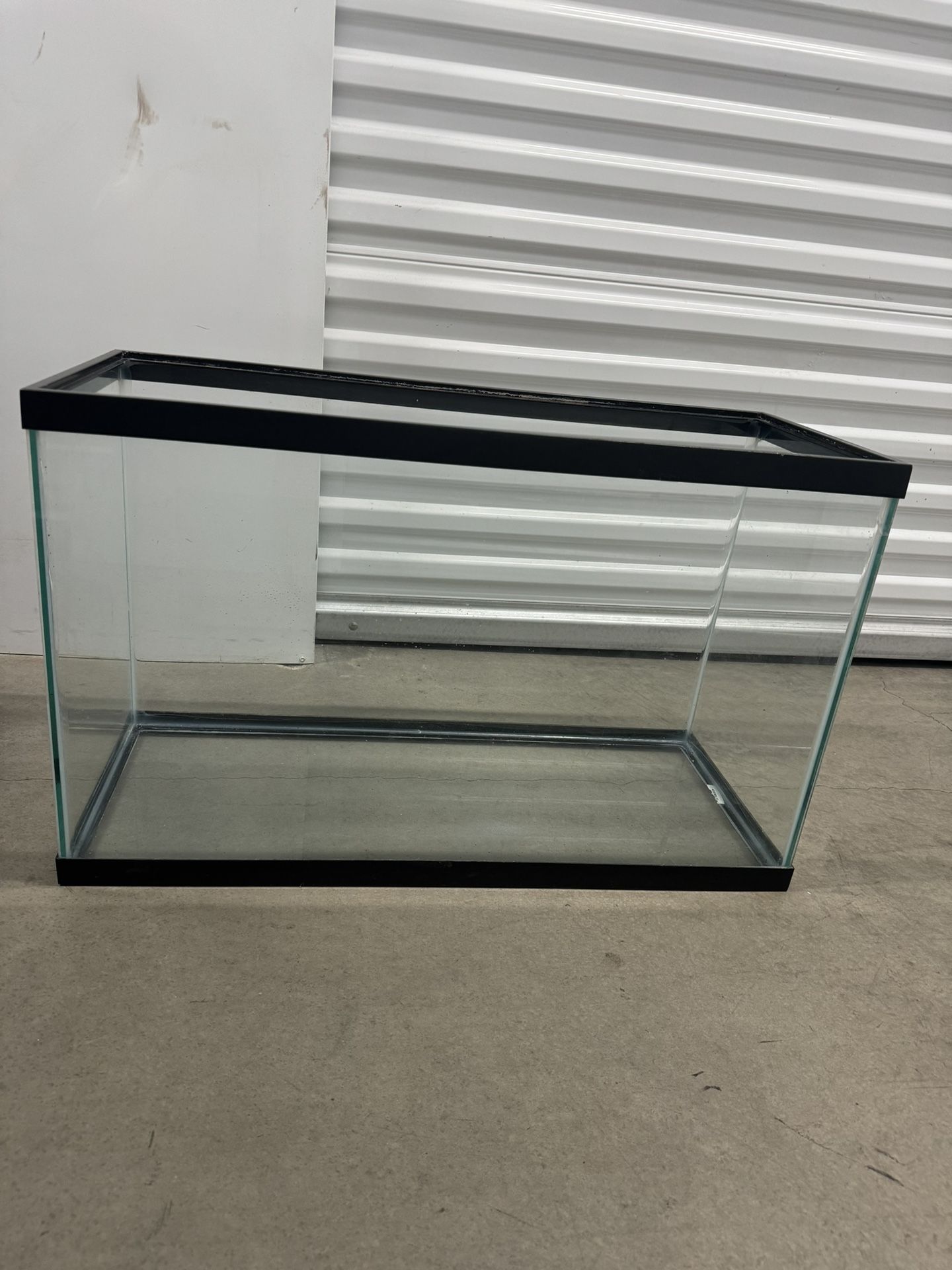 Fish Tank