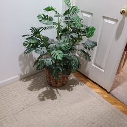 Faux Plant 