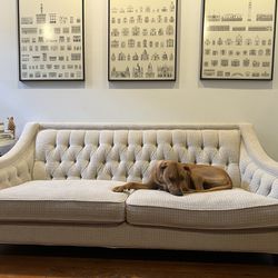Arhaus couch - Puppy Not Included 