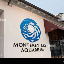 Monterey Bay Aquarium Ticket