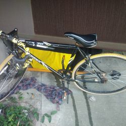 Fixed Gear Street Bike