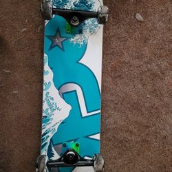 Skateboard (Barely Used)