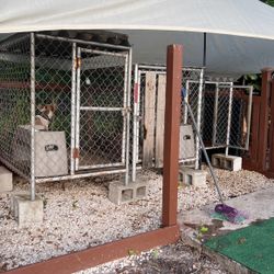 Dog Kennels 