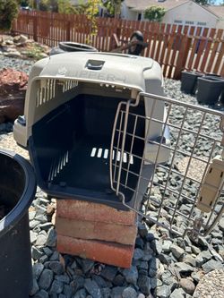 Pet Crate or Pet Carrier