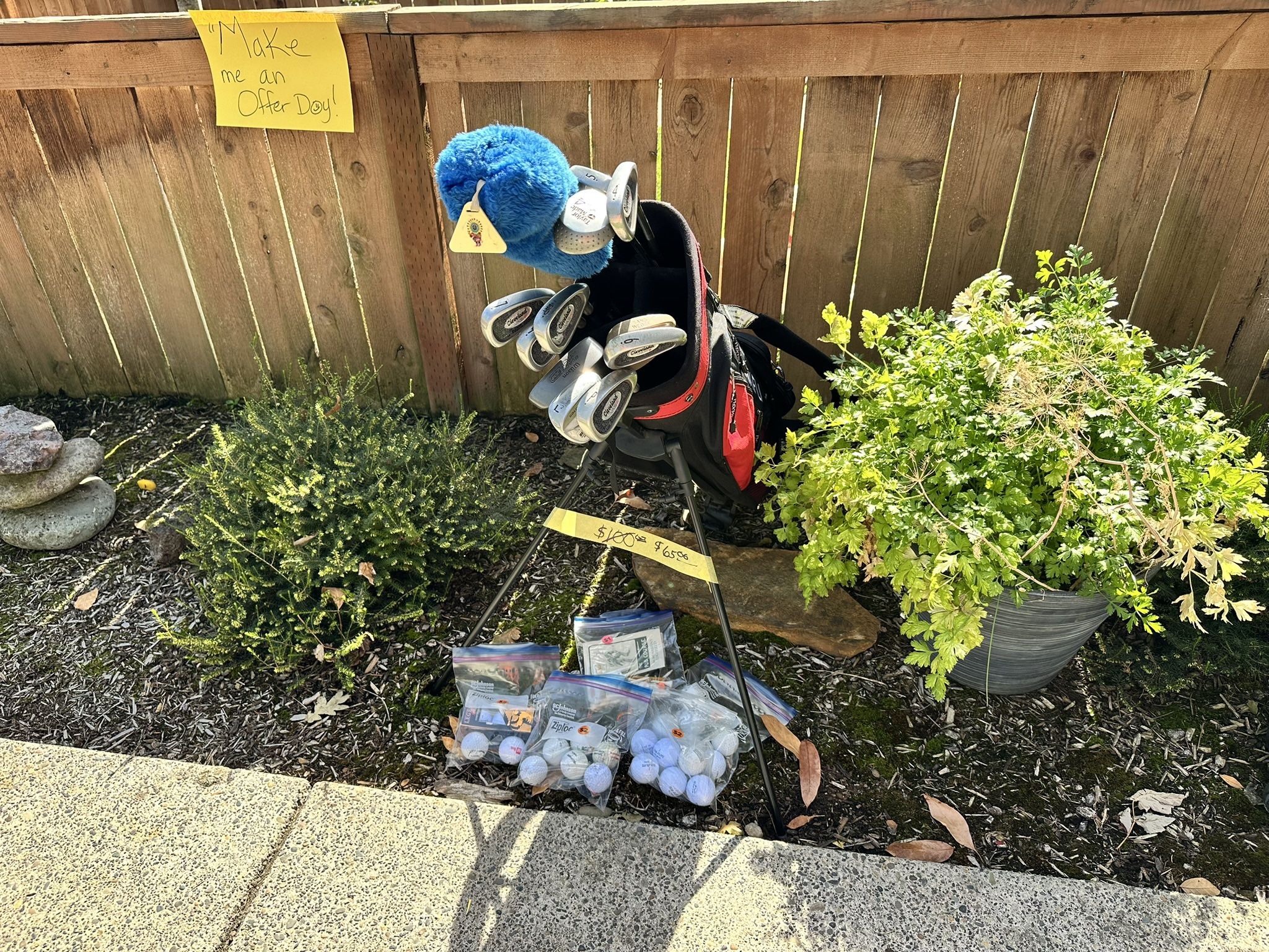 Golf Bag + all Clubs Seen Set Christmas Gift