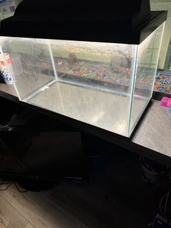 10 gallon fish tank