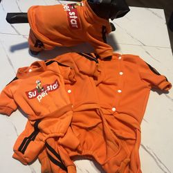 Orange Superstar Jumpsuit For Small Dogs 