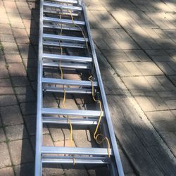 Ladder 🪜 Escalera Aluminio 