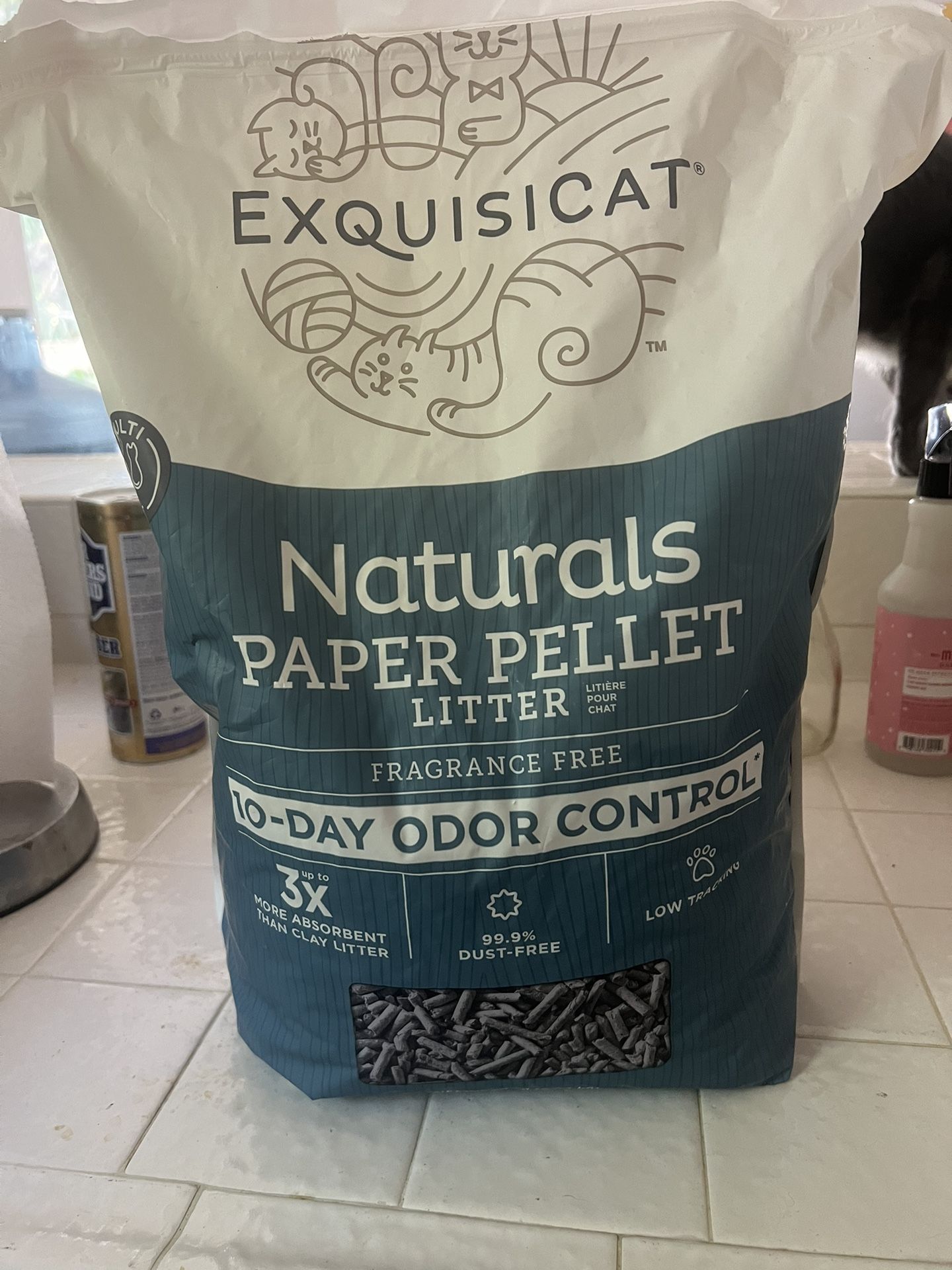 Exquisicat paper best sale