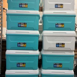 IGLOO 48QT Cooler - $15each 
