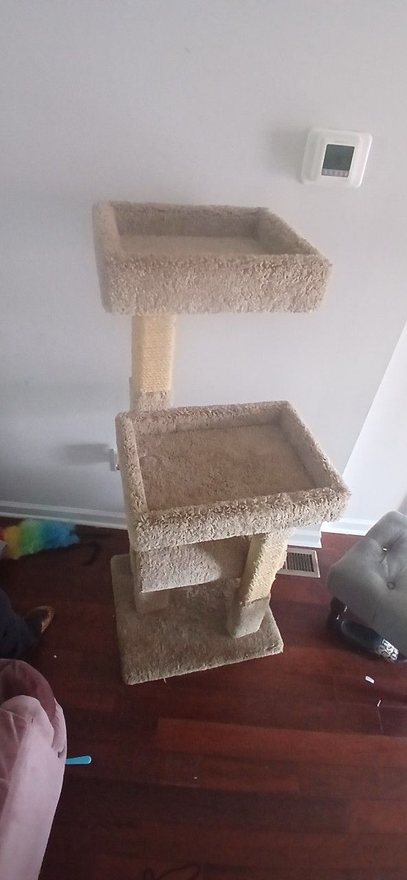 Cat Post