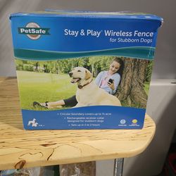 Pets are Wireless Fence For Subborn Dogs