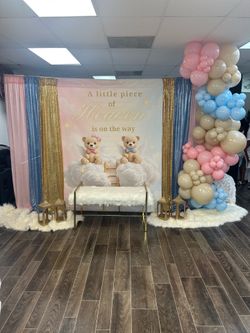 Gender reveal $700