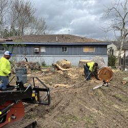 Stump Grinding