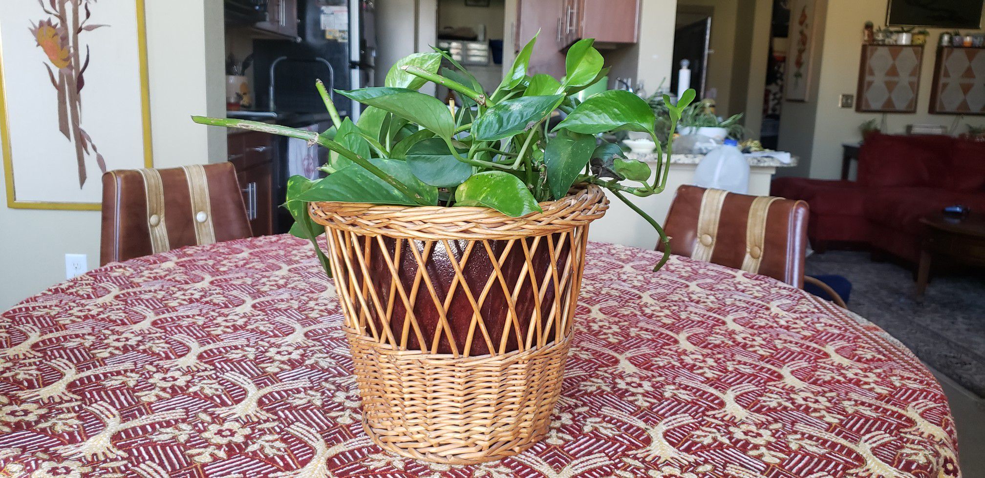 Basket Plant Holder