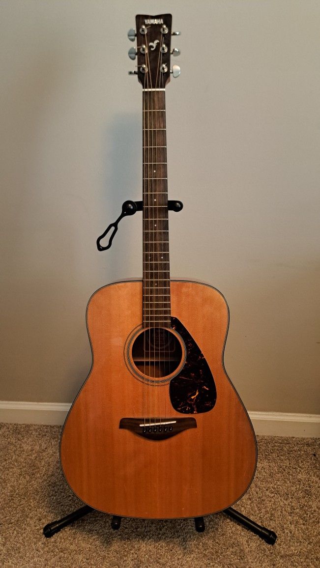 Acoustic Guitar