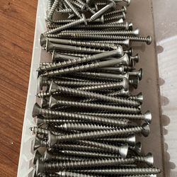 Assorted stainless steel screws 1 1/2” to 3” long