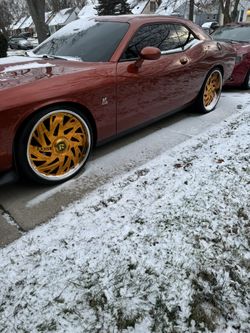 Rucci 24” Triple Gold 