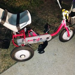 Amtryke Pro Series 50-FC- 1412, Special Needs