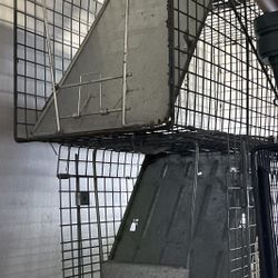 Cat Traps (2 Available)