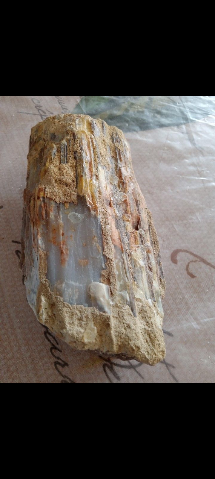Fossilized Wood W/ Embedded Crystals. Approximately 6"*3".