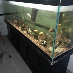 Pecera Con Mueble Para Guardar 