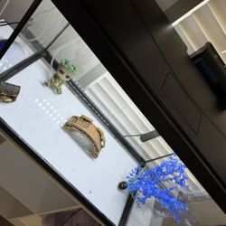 Fish Tank 20 Gallons 